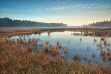 autumn sunrise over forest swamp