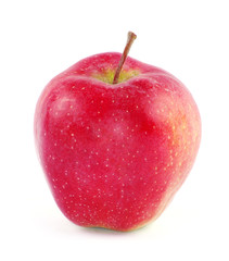 Plakat red apple