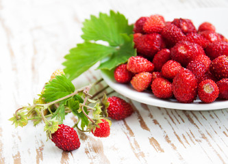 Wild strawberry in a plate