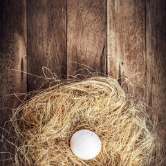 Easter nest with White Egg and feather on wooden background with