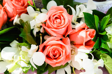 Bunch of pink rose flowers