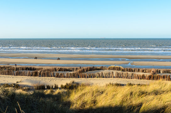 Walking on the shore on a sunny winter day at the Norh Sea