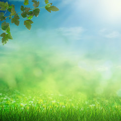 Obraz premium Spring field with sun