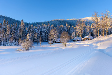 winter landscape in black forest germany