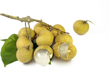 Longan fruit on white background.