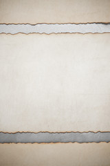 aged parchment paper