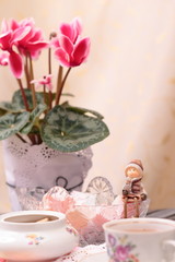 Warm cup of tea and sweets