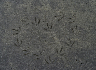 heart shaped foot prints on black sand