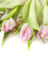 spring bouquet of pink tulips and willow on white background