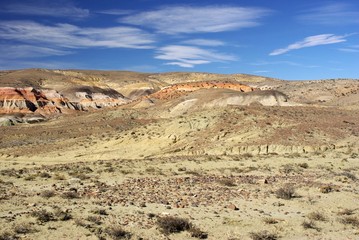 Paysage de Patagonie