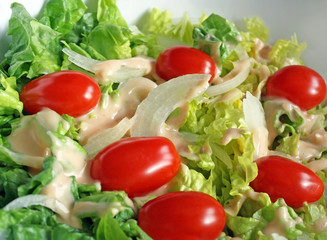 Fresh garden salad with tomatoes, onions and creamy dressing