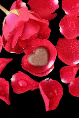 chocolate heart and red rose