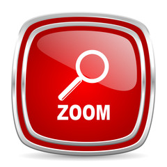 zoom icon