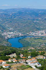 Fototapeta na wymiar vineyars w Dolinie Douro