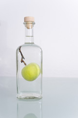 Fruit in bottle