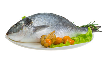 Raw dorada