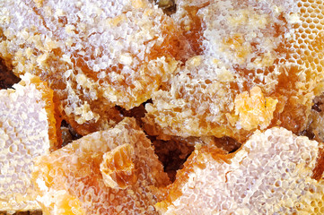 Honeycombs with honey