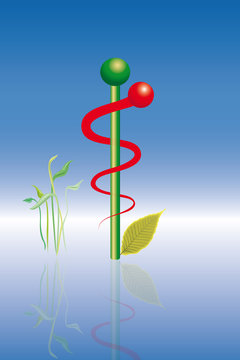 Logo Naturmedizin modern