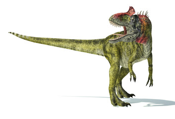 Cryolophosaurus dinosaur, photorealistic representation. Dynamic