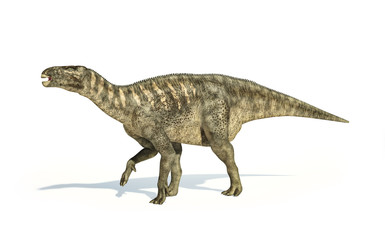 Iguanodon Dinosaur photorealistic representation, side view.