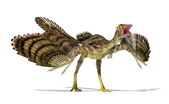 Photorealistic representation of an Archaeopteryx dinosaur.