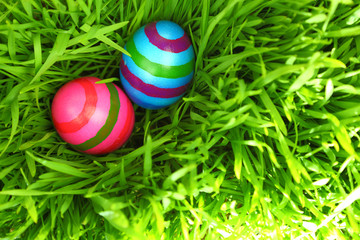 Colorful Easter eggs on fresh green grass