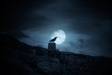 Full moon crow