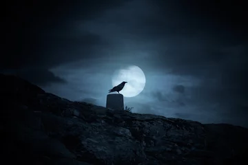  Full moon crow © Zacarias da Mata