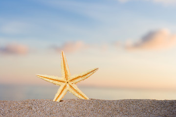 Obraz na płótnie Canvas starfish on the beach at sunrise