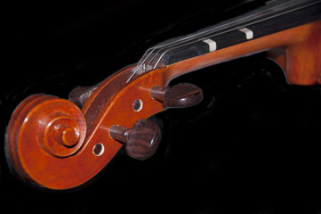 Violin scroll and tunning pegs
