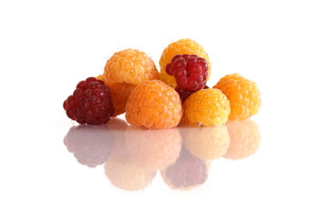 raspberries isolated w/reflections [kw-en/[o]