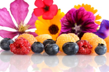 (Him- und Blau-)Beeren mit BlütenHB [kw-de/[o]