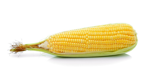 corn isolated on white background