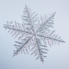Real macro snowflake lying on glass