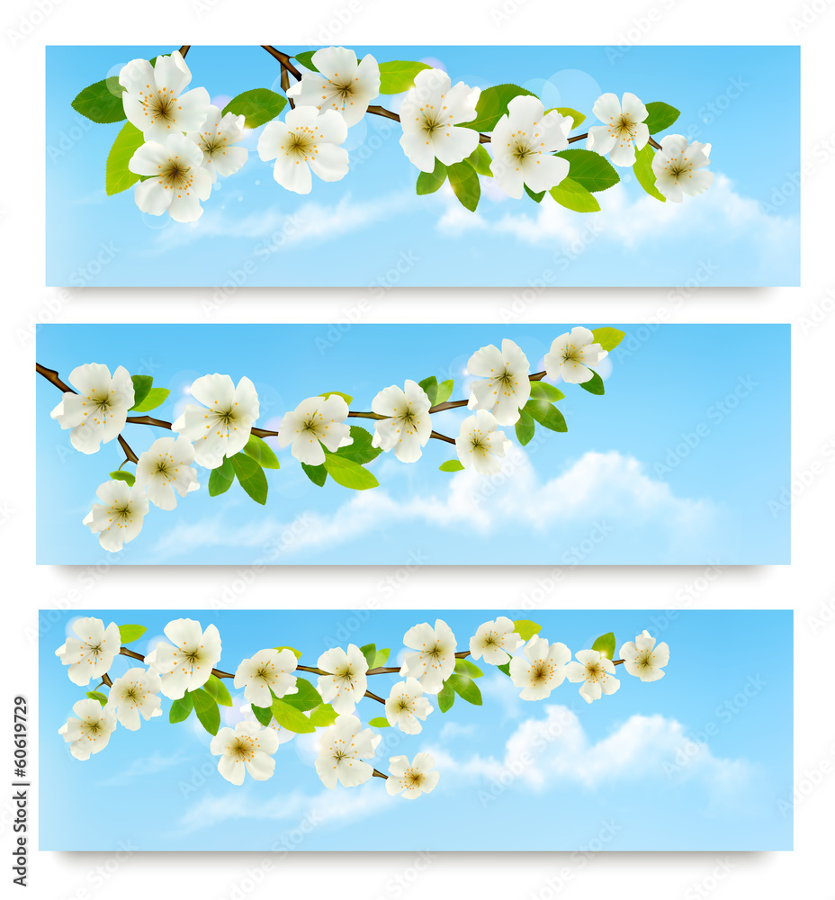 Poster three spring banners with blossoming tree brunch with spring flo