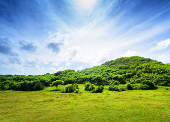 Green hill and blue sky