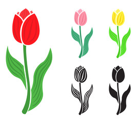 Set tulip flower