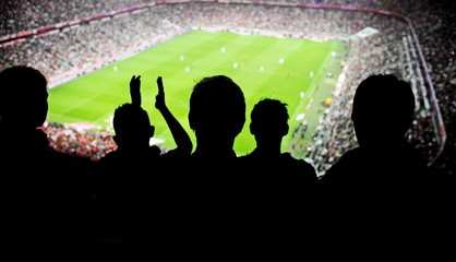 soccer fans stadium © flucas