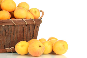 Fresh natural apricot in basket isolated on white