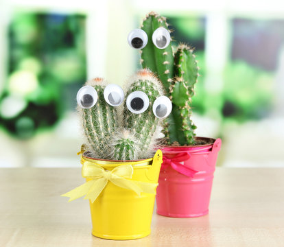 Funny cactuses with eyes in bright pail on wooden windowsill