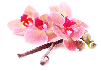 Beautiful blooming orchid and vanilla sticks  isolated on white