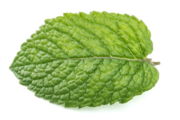 fresh mint leaves isolated on white background