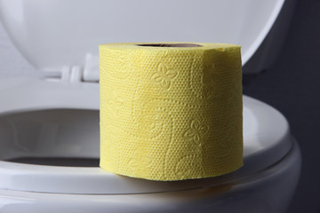 Toilet paper on a toilet, close-up