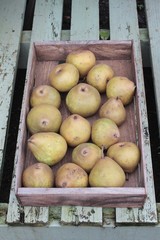 pears in wooden tray
