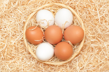 Hühnereier, Ostern, Grundnahrungsmittel, Eiweiß