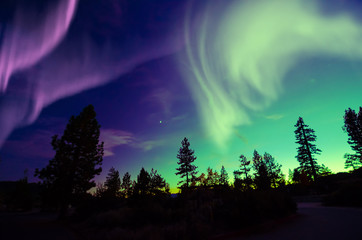 northern lights aurora borealis © surangaw