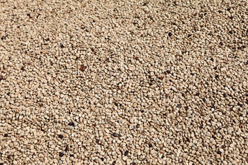 white coffee beans