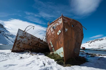 Foto op Plexiglas anti-reflex Abandoned Whaling Ship on Shore, Antarctica © ykumsri