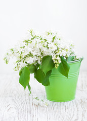 Bouquet of a white  lilac
