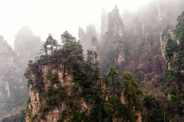 Fototapeta premium foggy Zhangjiajie